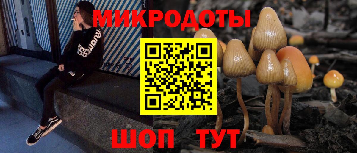 Сокол  Галлюциногенные грибы Psilocybine cubensis  где найти наркотики  Вход с VPN 
