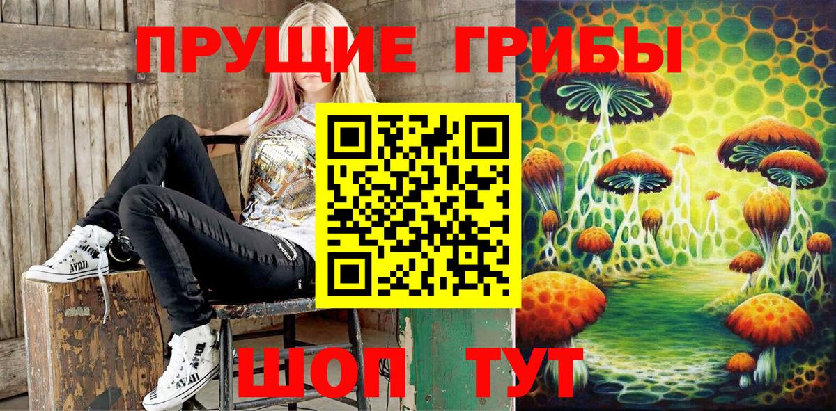 Псилоцибиновые грибы мухоморы Сокол