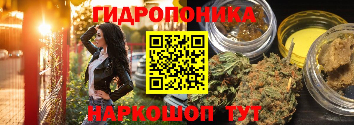Конопля ГИДРОПОН  Вход с VPN  Марихуана VHQ  Сокол  Канабис SATIVA & INDICA 